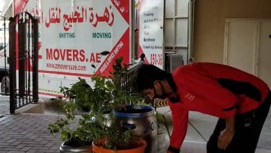 movers in ras al khaimah